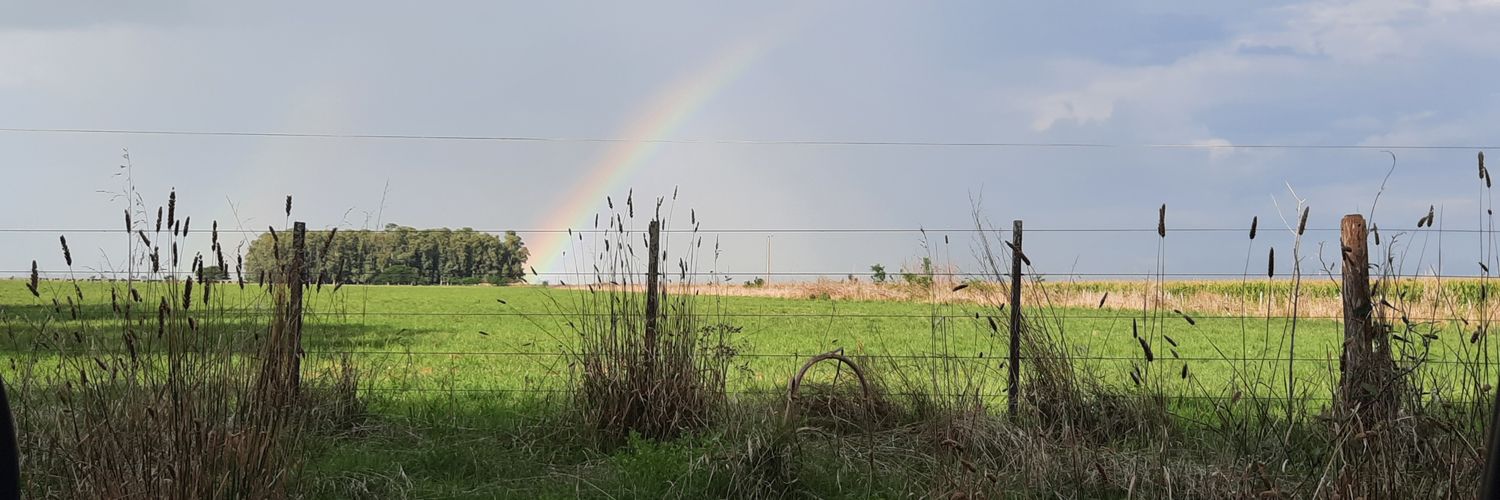 RParrita1's profile banner image