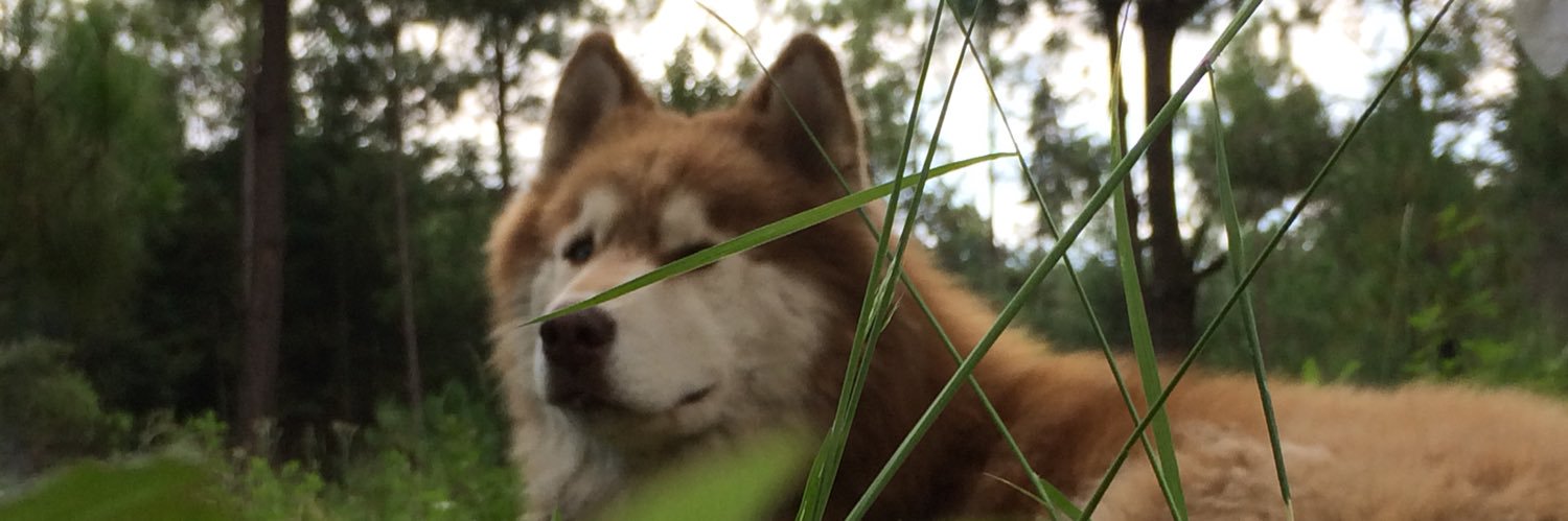 CynthiaPama's profile banner image