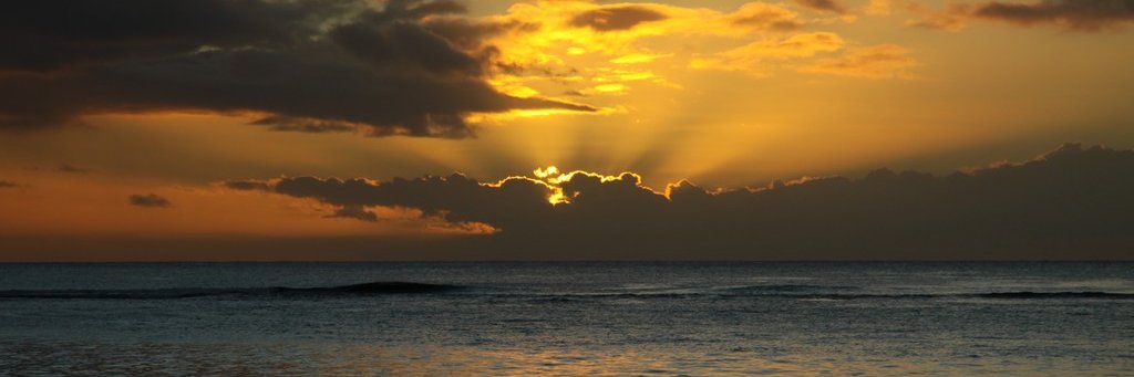 Régis MASSÉ banner