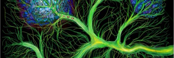 DrJZed Profile Banner