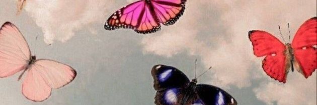 Manumondolo's profile banner image