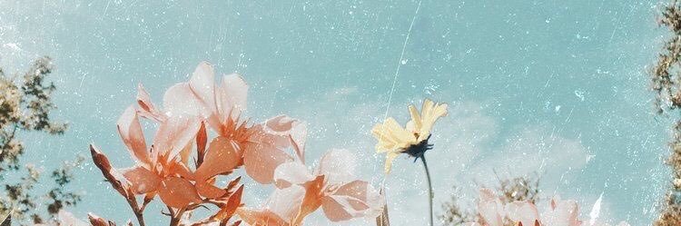 berillbudak's profile banner image