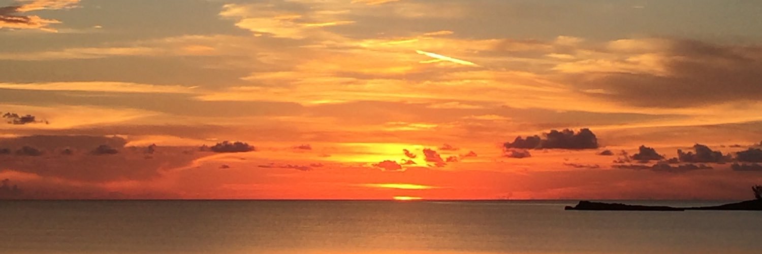 AimeeNichole85's profile banner image