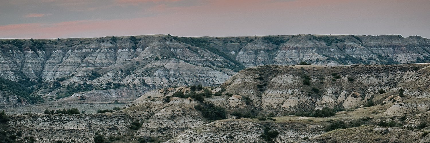 HaleyBentz's profile banner image