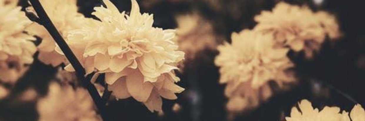 SugareeK's profile banner image