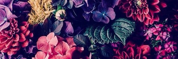 ElizaTheNative's profile banner image