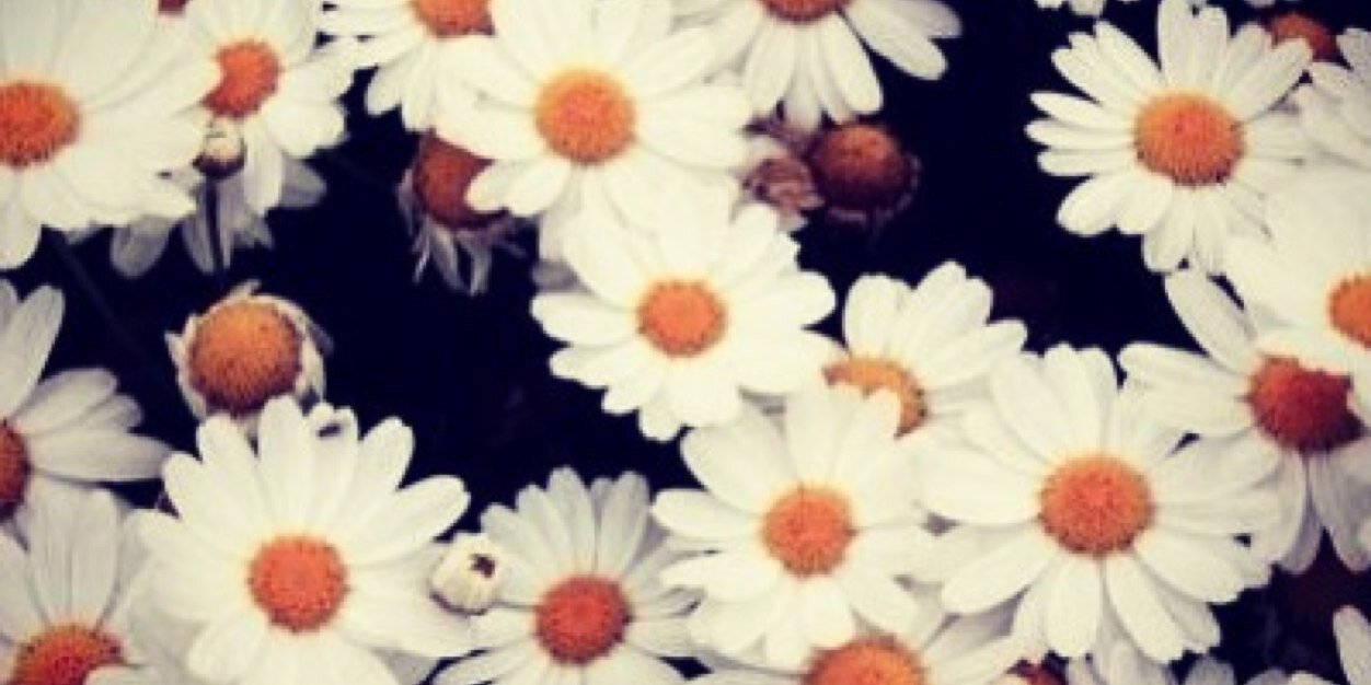 mrsborriello's profile banner image