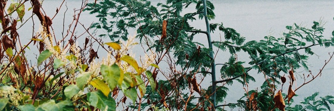 _mariajoao's profile banner image