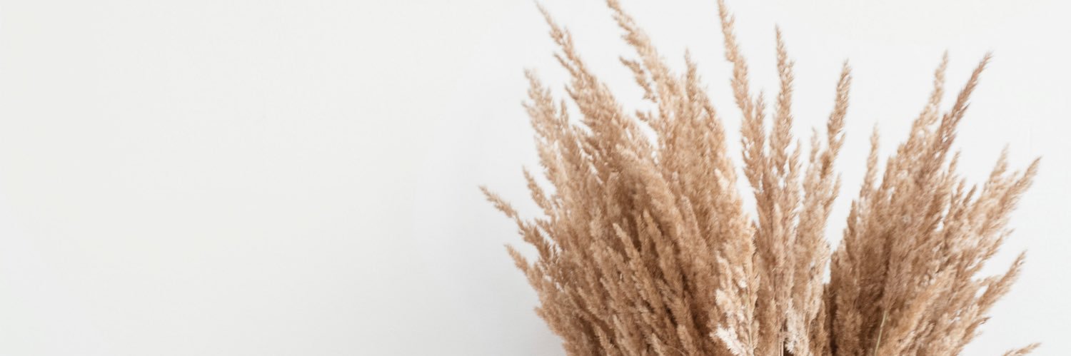sheismikajoi's profile banner image