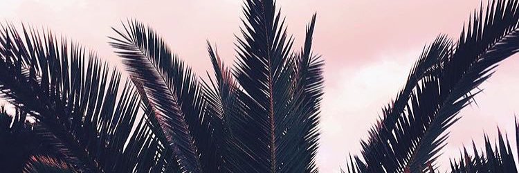 carlyrobts's profile banner image