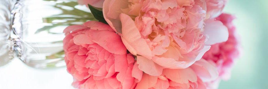 LelleyShea's profile banner image