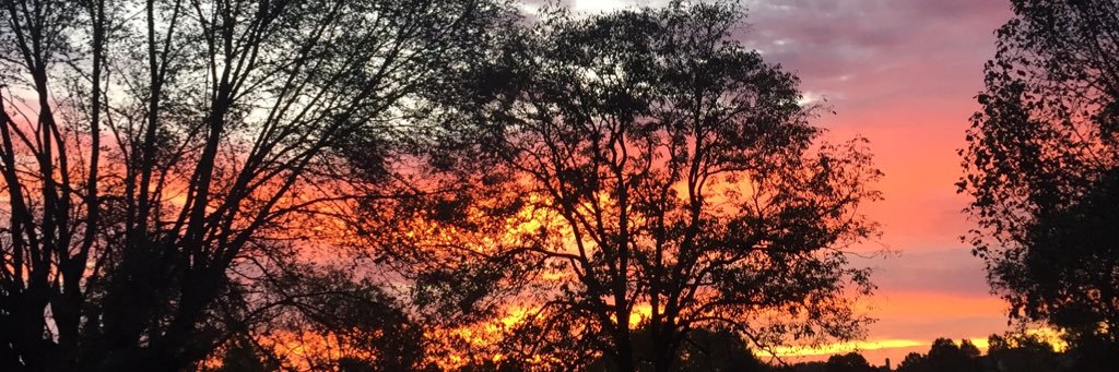 Megan_Winge's profile banner image