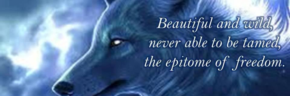 Lonewolf1521's profile banner image
