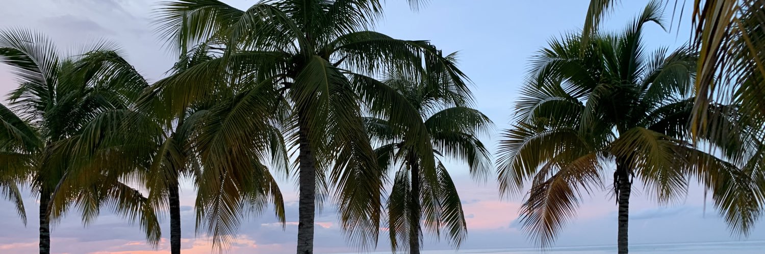 jollyjooo's profile banner image