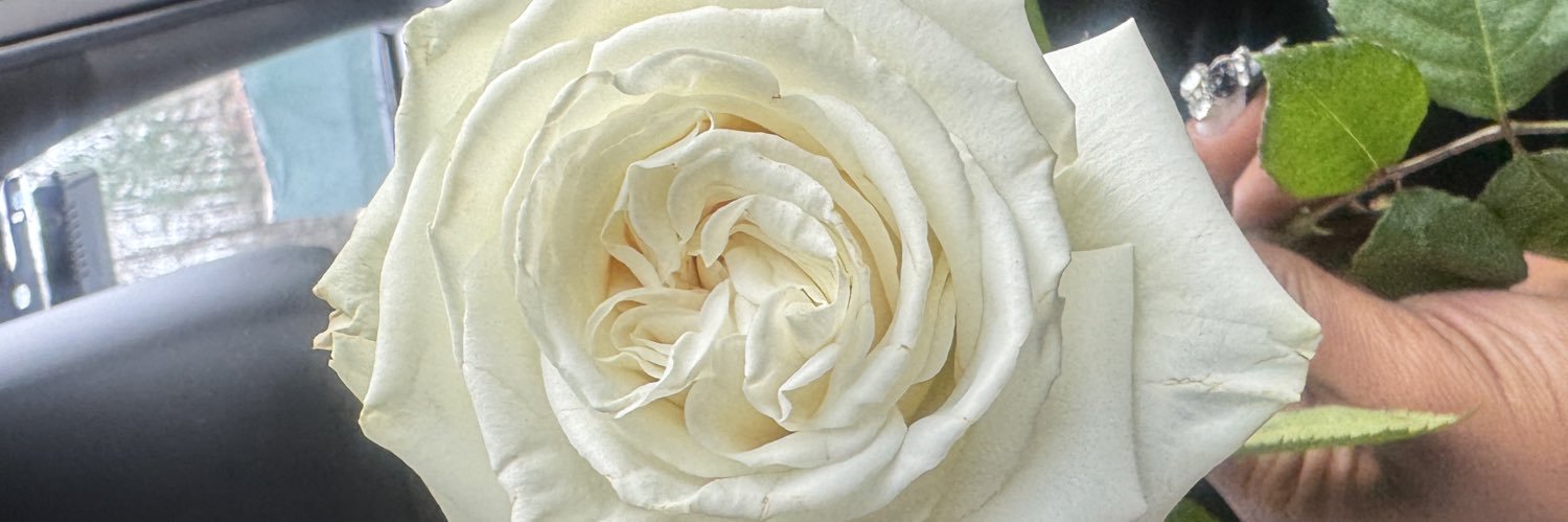 TishaB .🧚🏽‍♀️ banner