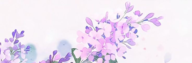 _Interviewer's profile banner image