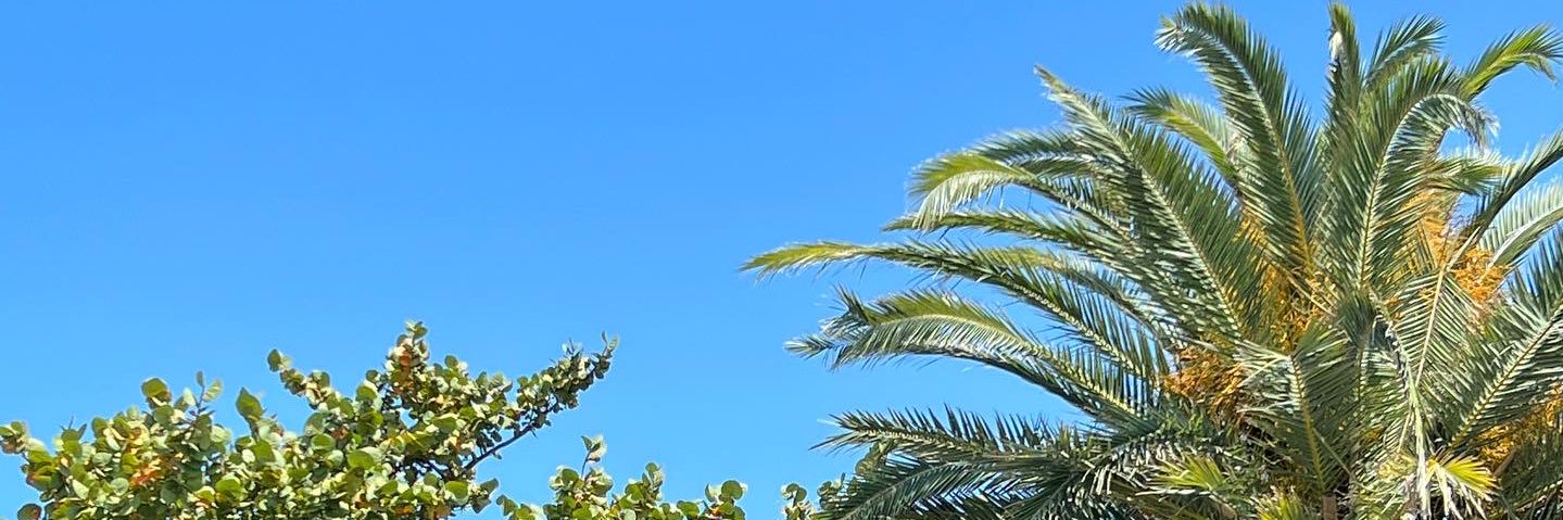 sabbbbbbbbbbbs's profile banner image