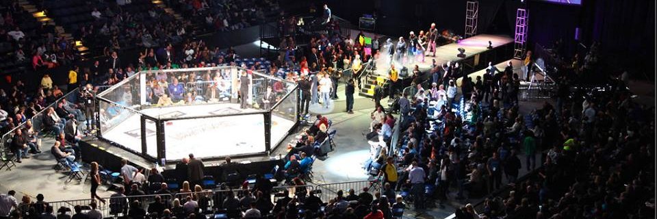 shogunfights's profile banner image