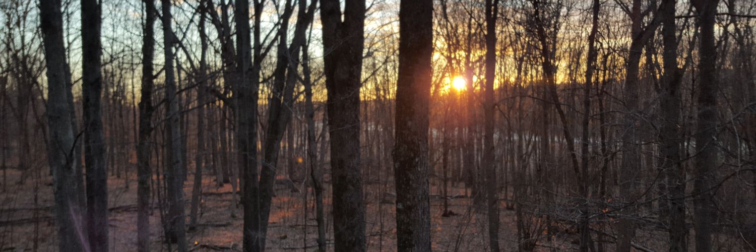 natekorb10's profile banner image