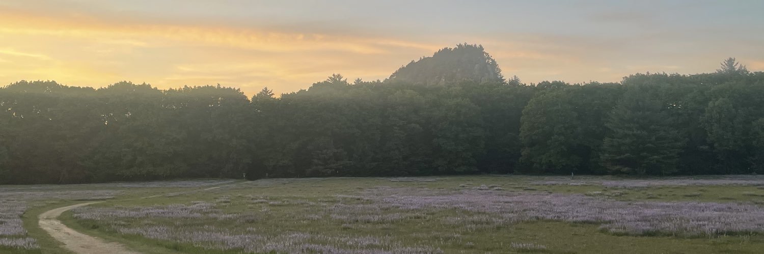 braileykerber's profile banner image
