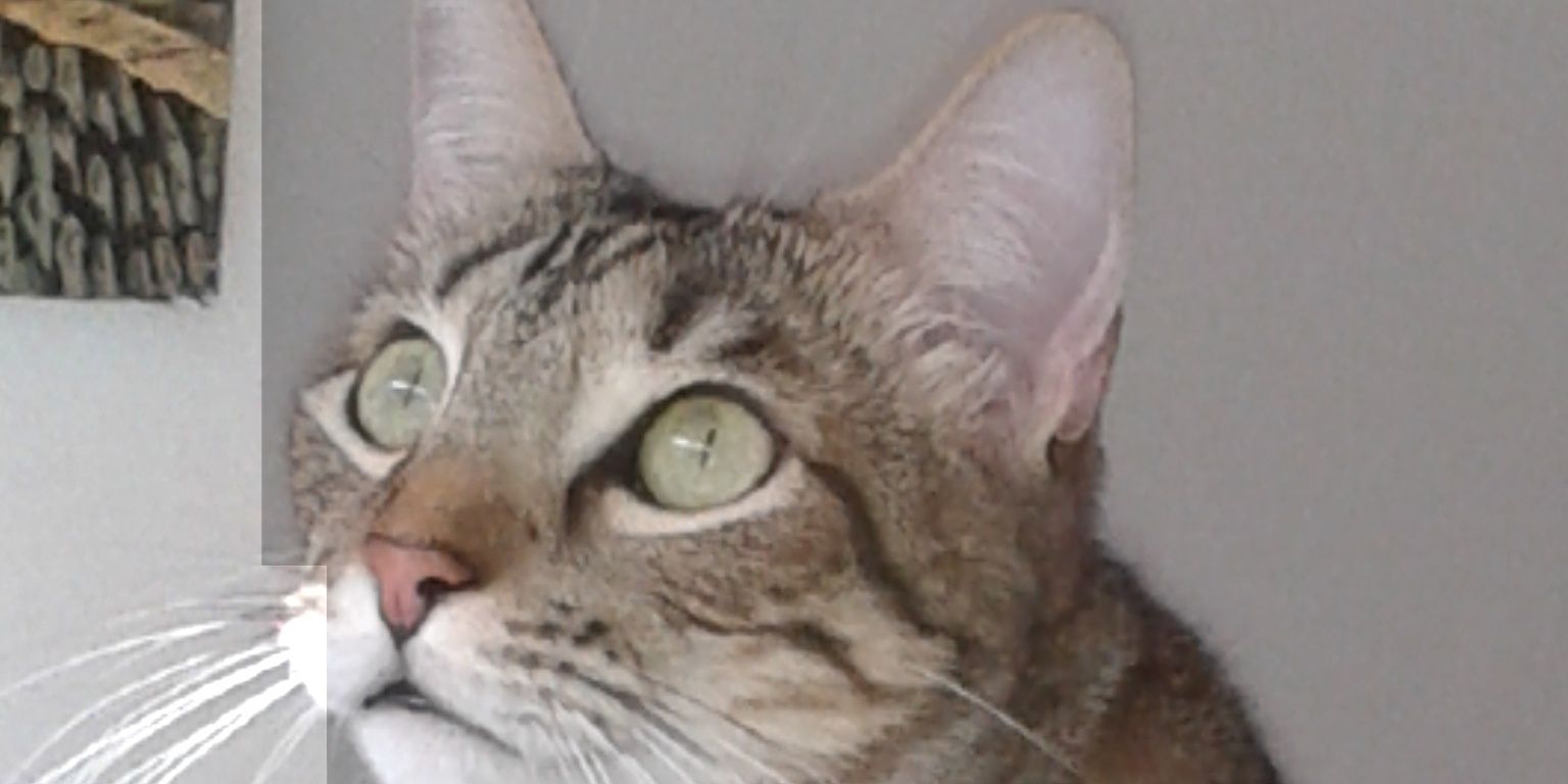 rubyrojasb's profile banner image