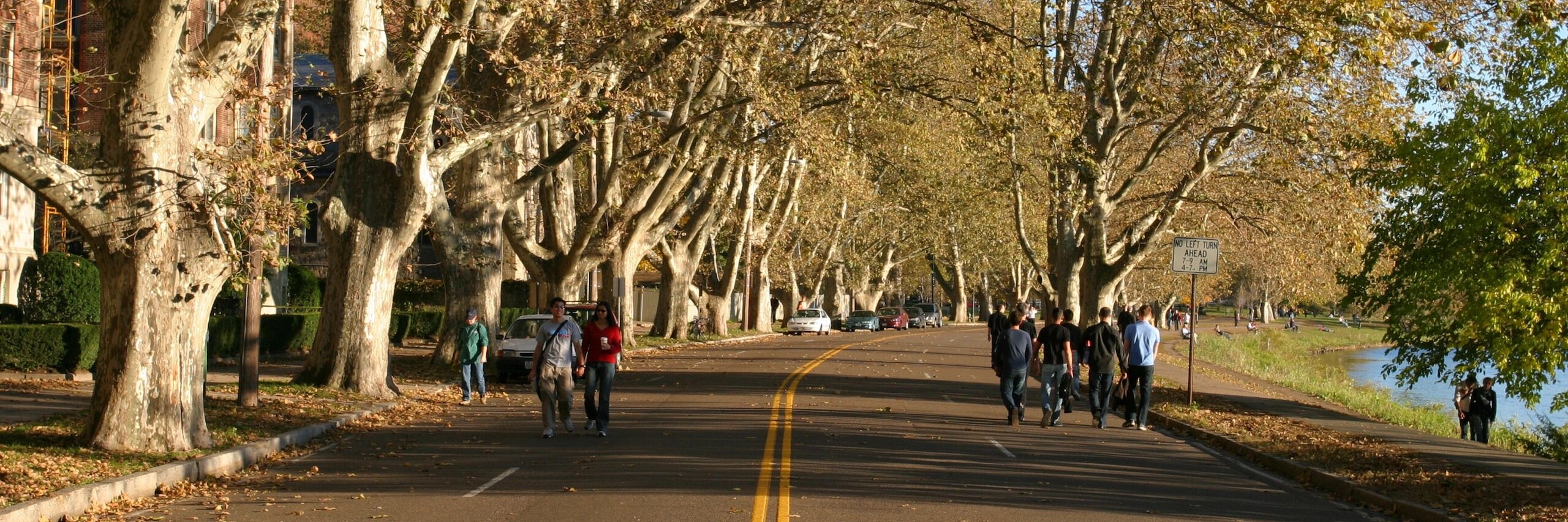 TomStohlman's profile banner image
