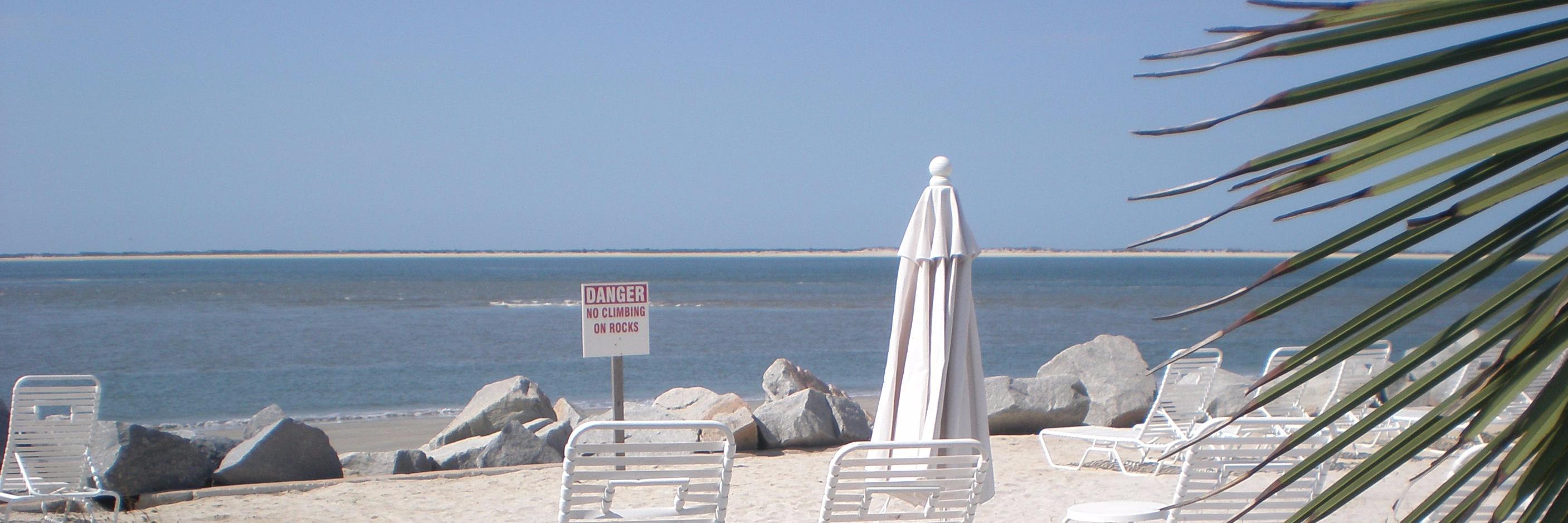 Carolyn Allen banner