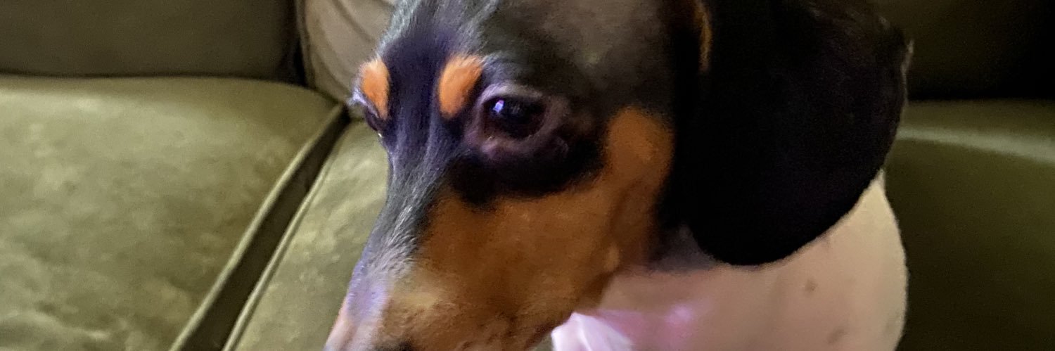 Zach is making the stack banner