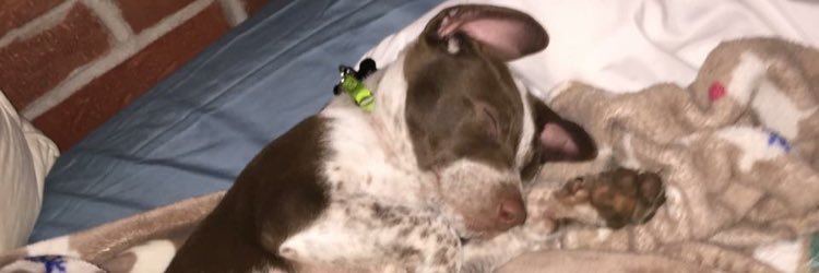 KaylaKlenke's profile banner image