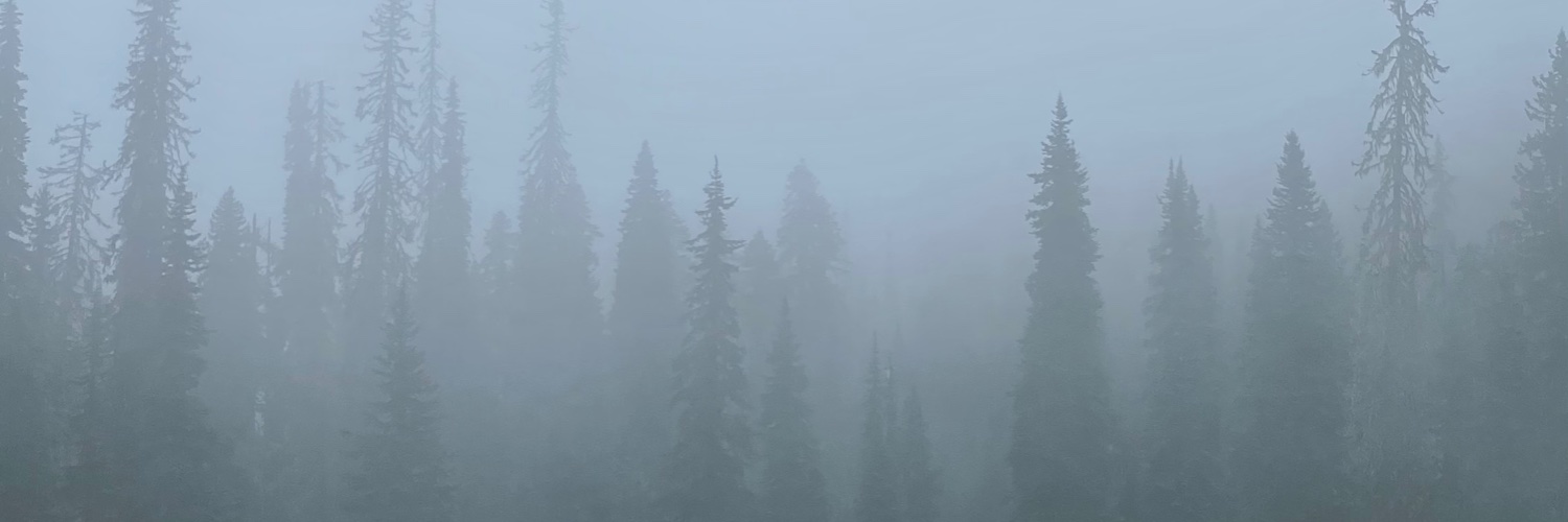 NatTak_'s profile banner image