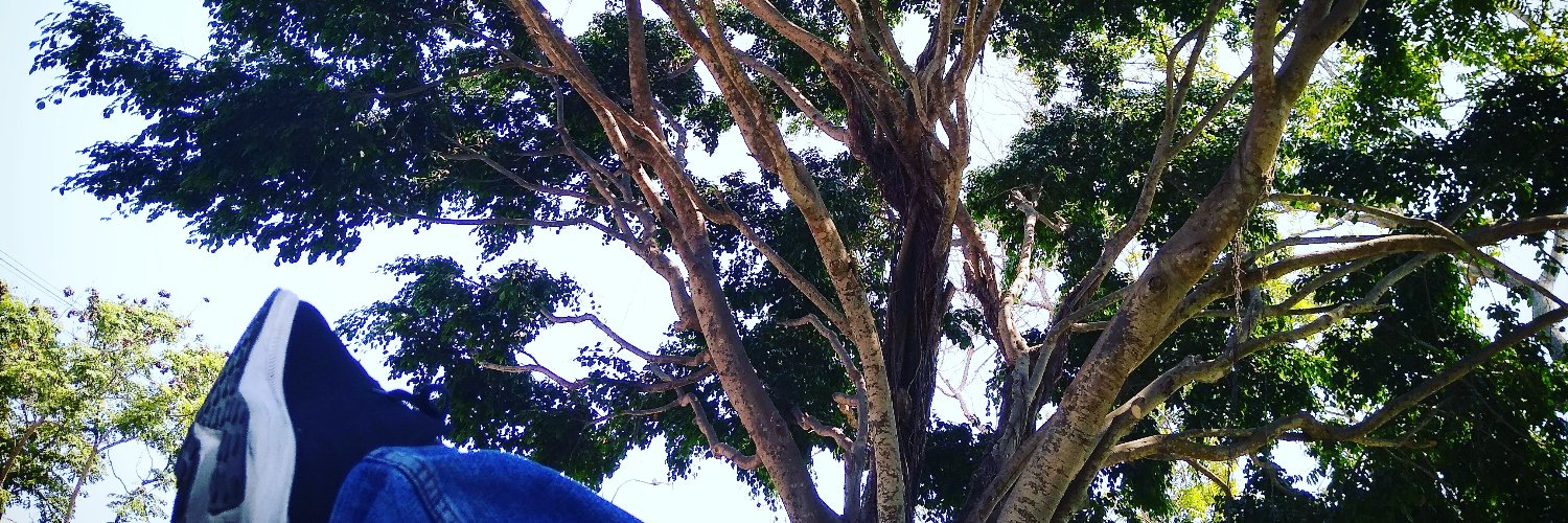 ZeeK1211's profile banner image