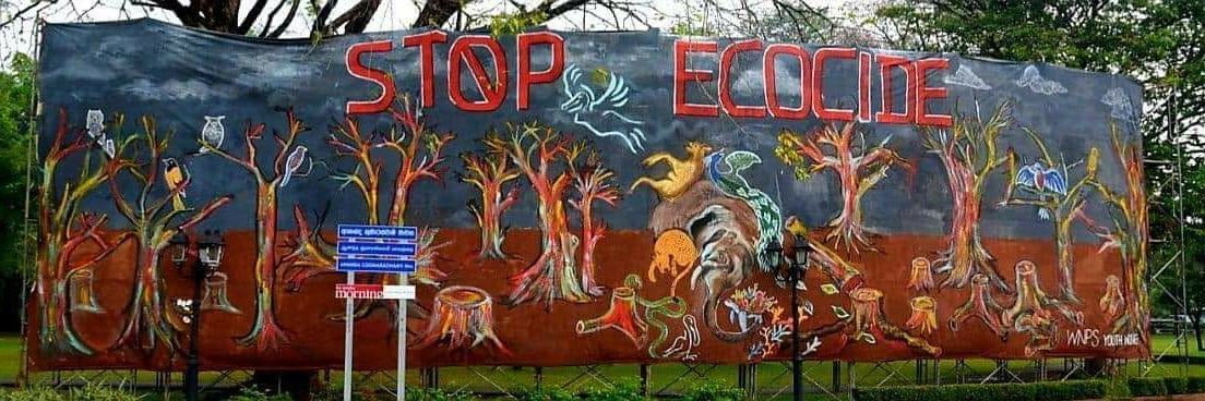 Suren Fernando banner