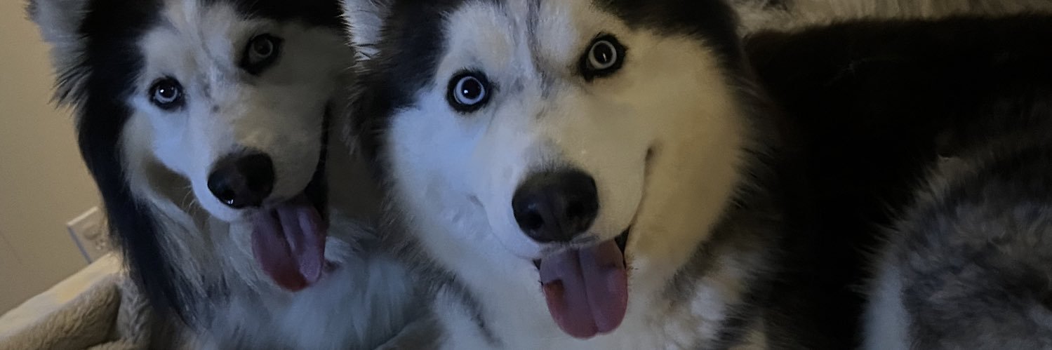 andreaedith_'s profile banner image