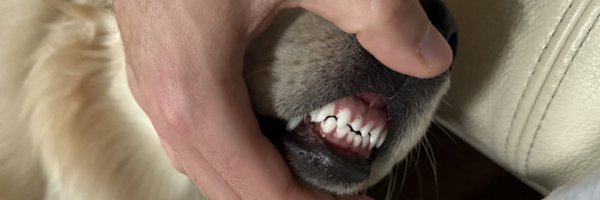 JackRuhl Profile Banner