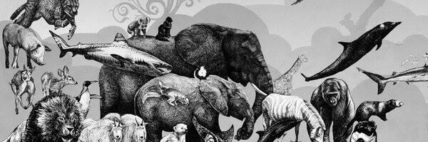soyelprocreador's profile banner image