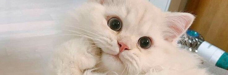 adindaprmst's profile banner image