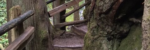 Mindysuse's profile banner image
