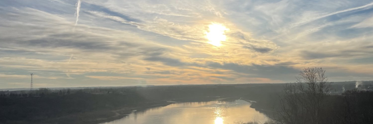 Noelle Chorney banner