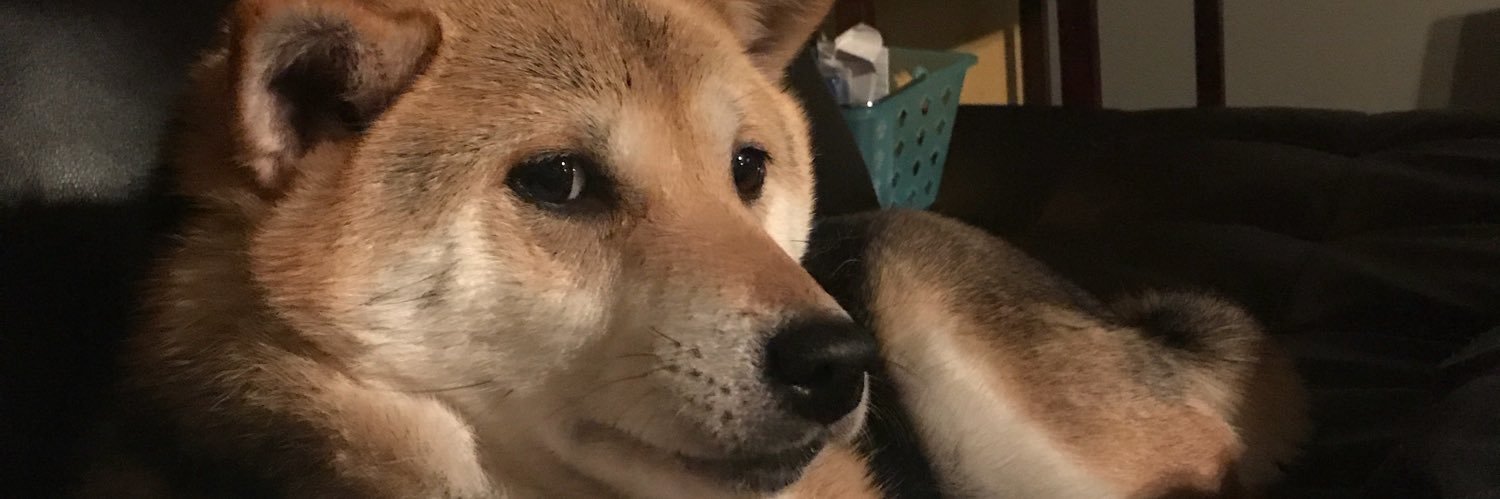 Gerard_hoe's profile banner image