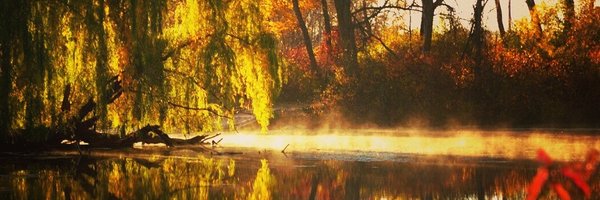 DiscoverWI Profile Banner