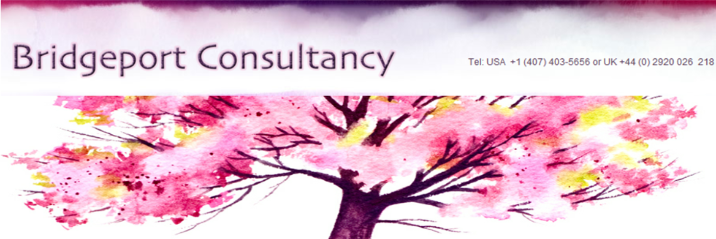 BridgeportCo's profile banner image