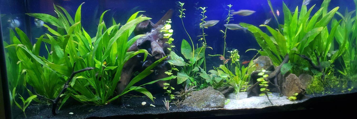 AsLongasitSlaps... banner