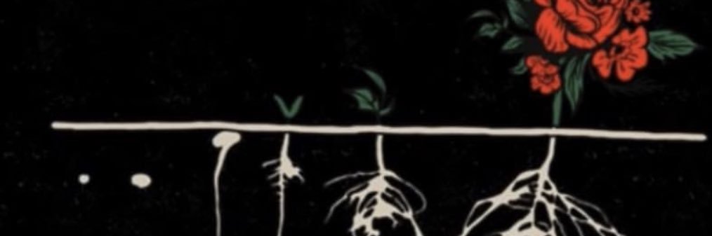 cand_acee's profile banner image