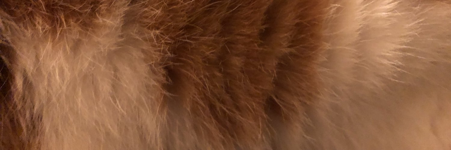 ののち banner