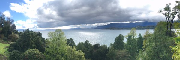 CocaCampos Profile Banner