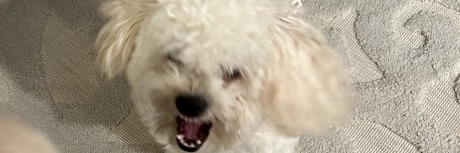 lyssgetitttt's profile banner image