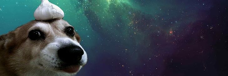 AneXX banner