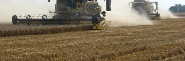 caw_brown Profile Banner