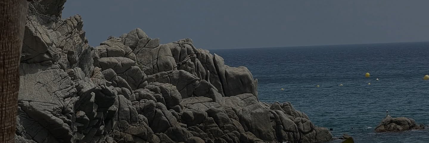 nonis_sanchez's profile banner image