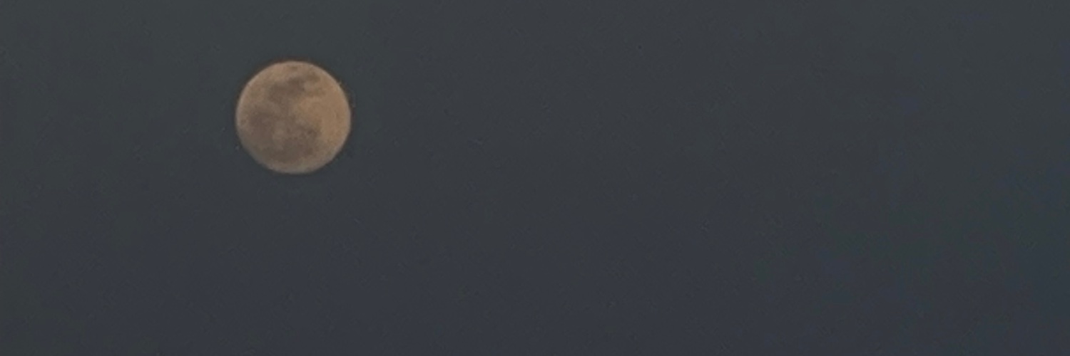 MiramYasser's profile banner image